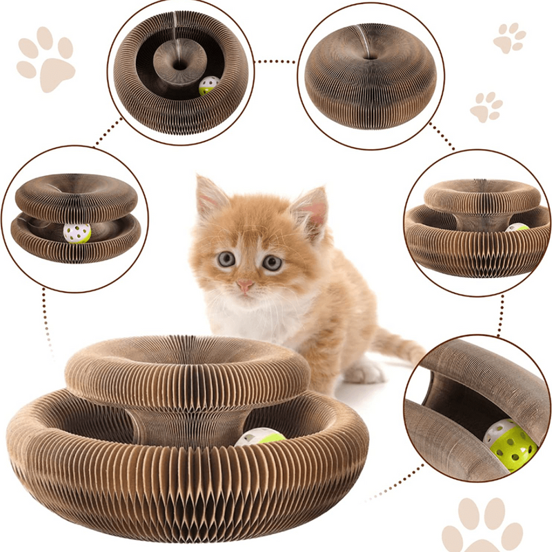 Brinquedo Interativo Para Gatos I Cat Joy +1 Bolinha de Brinde - Reall Magazine