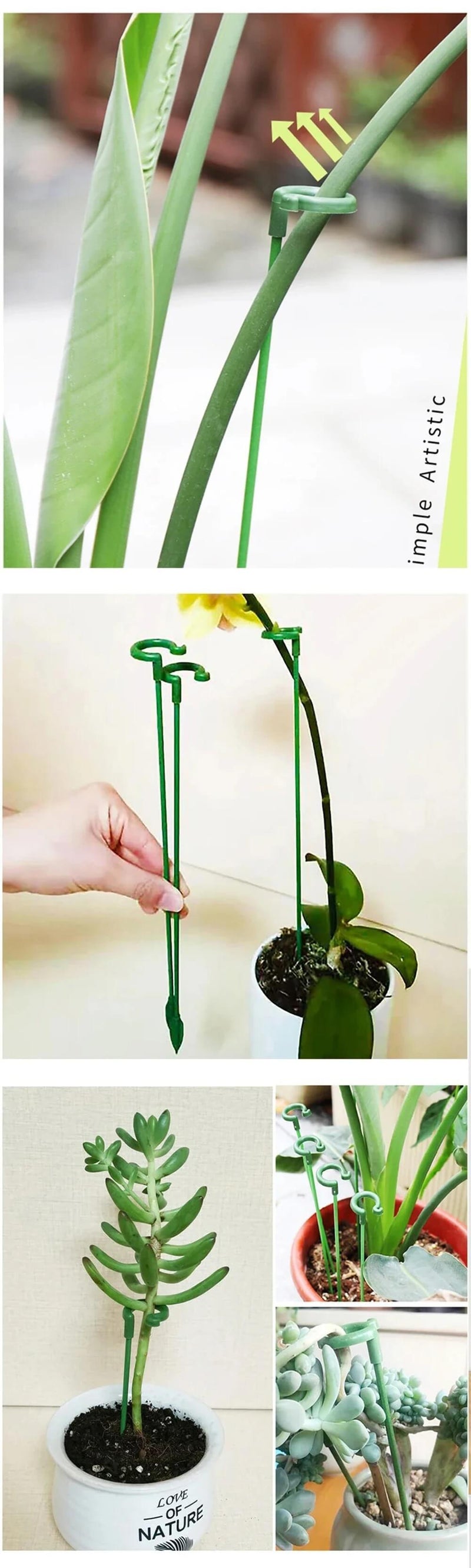 Suportes de plantas plásticas - Reall Magazine